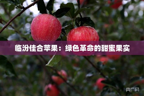 第294页