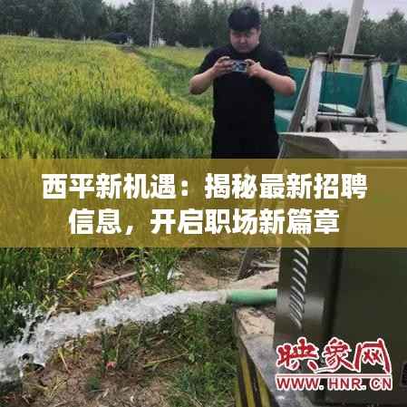 西平新机遇:揭秘最新招聘信息,开启职场新篇章