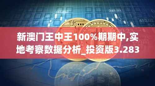 新澳门王中王100%期期中,实地考察数据分析_投资版3.283-1