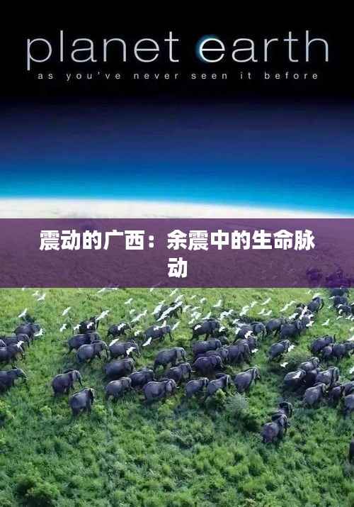 震动的广西:余震中的生命脉动