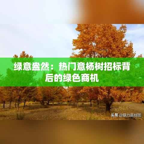 绿意盎然:热门意杨树招标背后的绿色商机