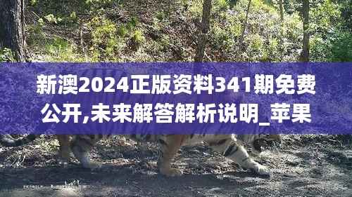新澳2024正版资料341期免费公开,未来解答解析说明_苹果版5.665