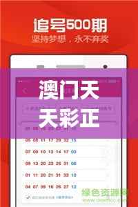 澳门天天彩正版全新资料,全面说明解析_豪华版4.896