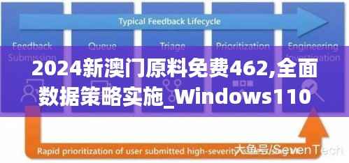 2024新澳门原料免费462,全面数据策略实施_Windows110.437