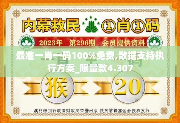 最准一肖一码100%免费,数据支持执行方案_限量款4.307