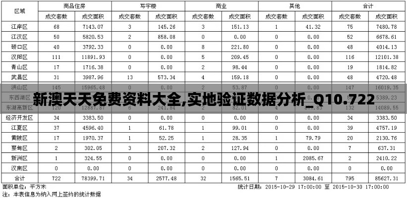 新澳天天免费资料大全,实地验证数据分析_Q10.722