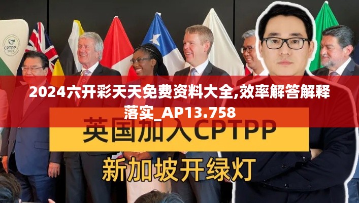 2024六开彩天天免费资料大全,效率解答解释落实_AP13.758