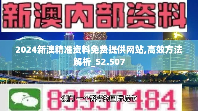 2024新澳精准资料免费提供网站,高效方法解析_S2.507