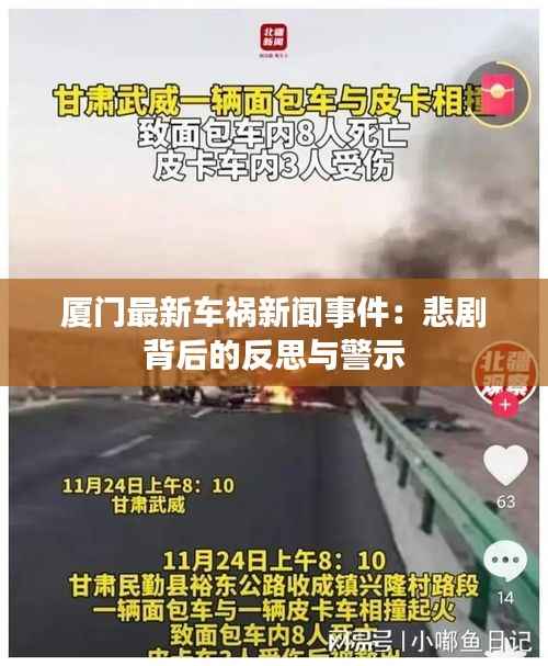厦门最新车祸新闻事件：悲剧背后的反思与警示