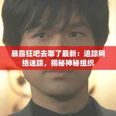暴露狂吧去哪了最新：追踪网络迷踪，揭秘神秘组织