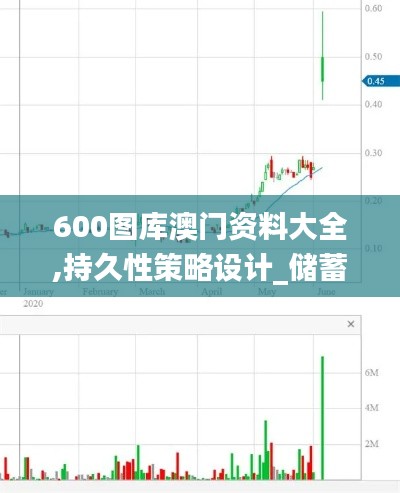 600图库澳门资料大全,持久性策略设计_储蓄版1.455