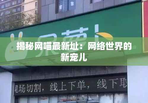 揭秘网喵最新址：网络世界的新宠儿