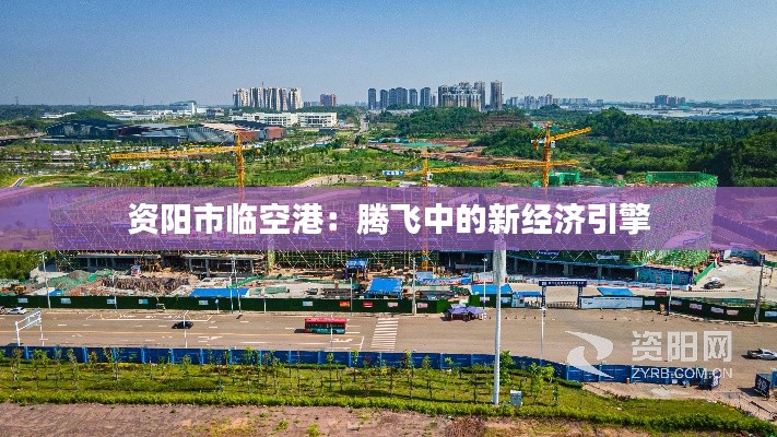 铺张浪费 第5页