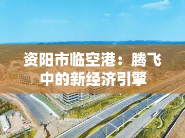 资阳市临空港:腾飞中的新经济引擎