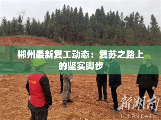 郴州最新复工动态：复苏之路上的坚实脚步