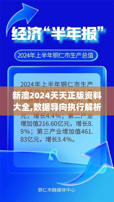 新澳2024天天正版资料大全,数据导向执行解析_Essential9.792