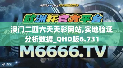 澳门二四六天天彩网站,实地验证分析数据_QHD版6.731
