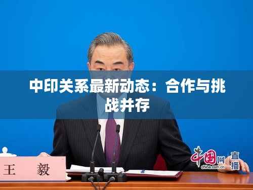 中印关系最新动态:合作与挑战并存