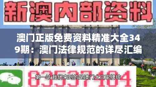澳门正版免费资料精准大全349期:澳门法律规范的详尽汇编