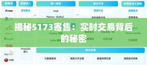 揭秘5173寄售:实时交易背后的秘密
