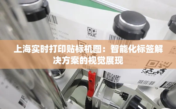 上海实时打印贴标机图:智能化标签解决方案的视觉展现
