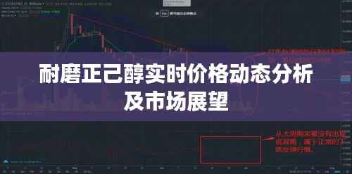 耐磨正己醇实时价格动态分析及市场展望