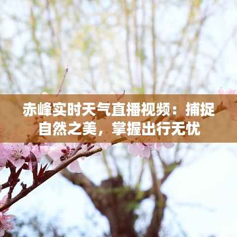 赤峰实时天气直播视频:捕捉自然之美,掌握出行无忧