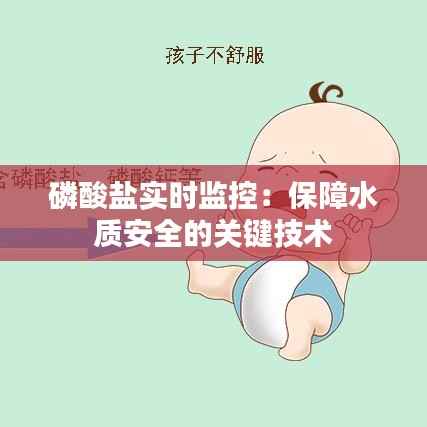 磷酸盐实时监控:保障水质安全的关键技术