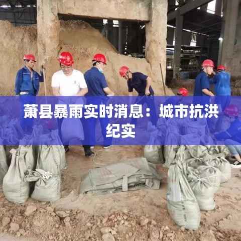 萧县暴雨实时消息:城市抗洪纪实