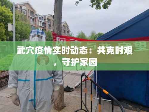 武穴疫情实时动态:共克时艰,守护家园