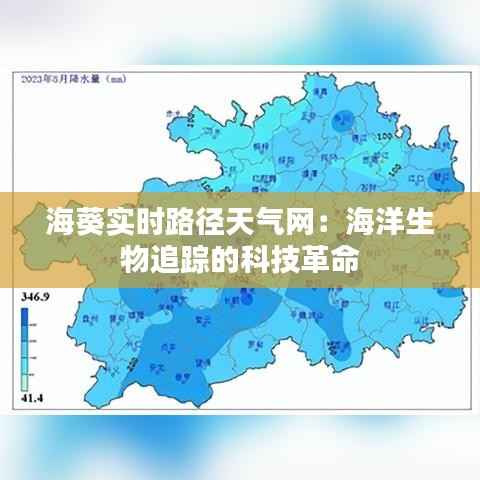 海葵实时路径天气网：海洋生物追踪的科技革命