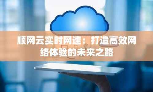 顺网云实时网速：打造高效网络体验的未来之路