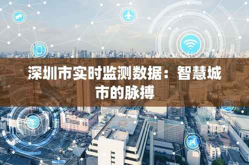 深圳市实时监测数据:智慧城市的脉搏