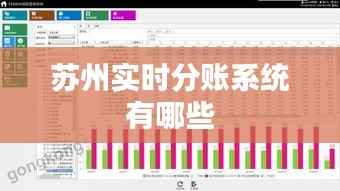 苏州实时分账系统有哪些