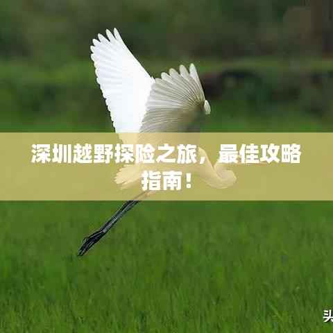 深圳越野探险之旅,最佳攻略指南!