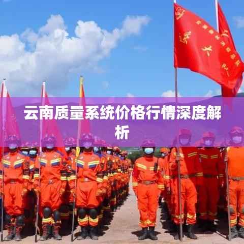 云南质量系统价格行情深度解析