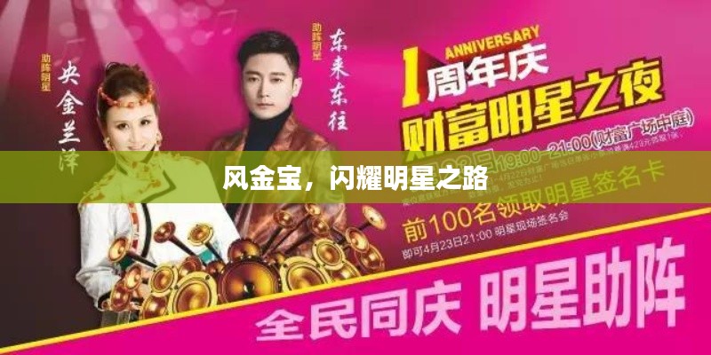风金宝,闪耀明星之路