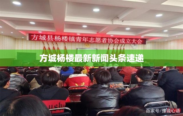 方城杨楼最新新闻头条速递