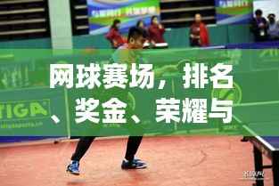 网球赛场,排名、奖金、荣耀与财富的角逐地