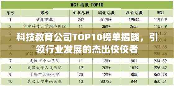 科技教育公司TOP10榜单揭晓,引领行业发展的杰出佼佼者