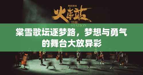 棠雪歌坛逐梦路,梦想与勇气的舞台大放异彩