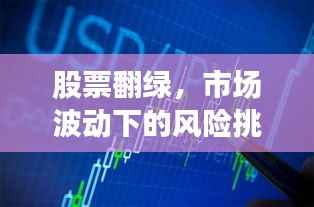 股票翻绿,市场波动下的风险挑战如何应对?