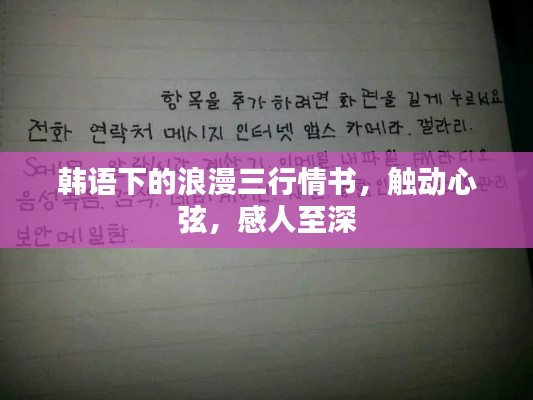 韩语下的浪漫三行情书,触动心弦,感人至深