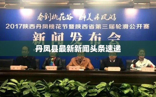 丹凤县最新新闻头条速递