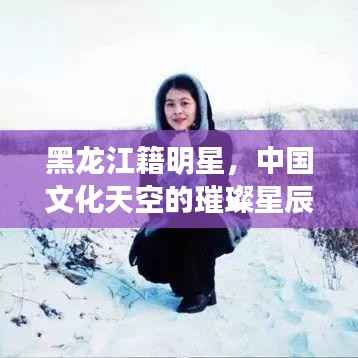 黑龙江籍明星,中国文化天空的璀璨星辰闪耀风采