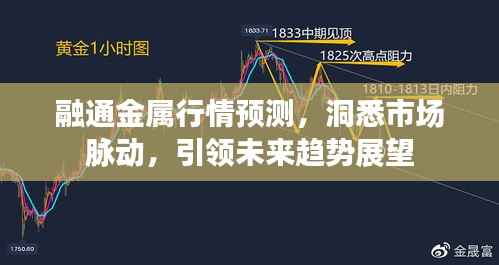融通金属行情预测,洞悉市场脉动,引领未来趋势展望