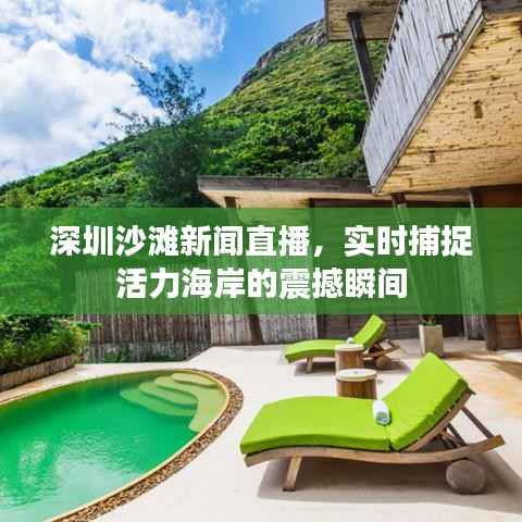 深圳沙滩新闻直播,实时捕捉活力海岸的震撼瞬间