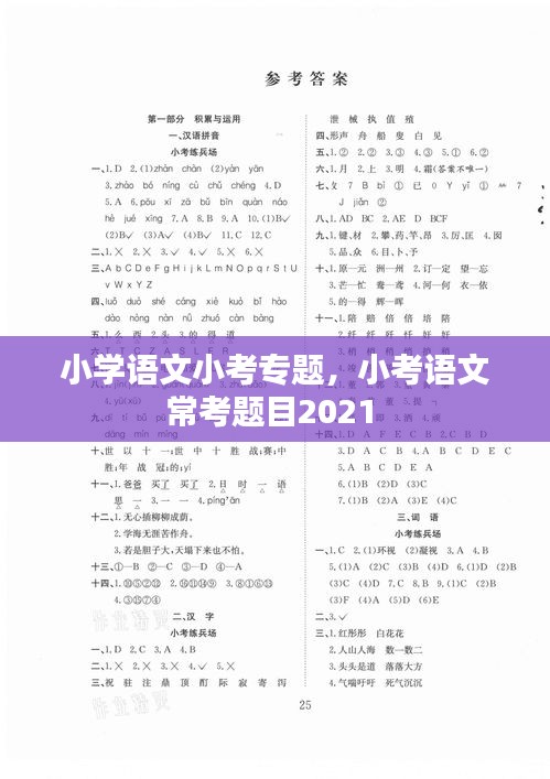 小学语文小考专题,小考语文常考题目2021