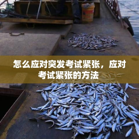 怎么应对突发考试紧张,应对考试紧张的方法