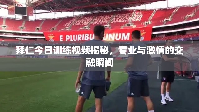 拜仁今日训练视频揭秘,专业与激情的交融瞬间